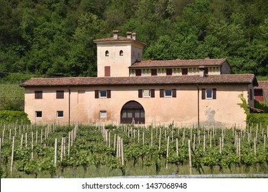 An ancient wine farm with its vineyard - Franciacorta - Italy - Shutterstock ID 1437068948