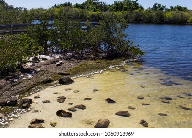 Anclote River, Florida