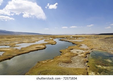 Andean Alpine Tundra, Peru