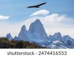 Andean Condor  flying over Cerro Torre peak,  Patagonia, Argentina.