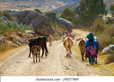 Andean family taking their live stock to grazing pastures in the Andes, Peru, South America - Powered by Shutterstock