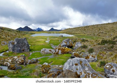 Andean landscape with bofedales in the andean - Shutterstock ID 1685992348