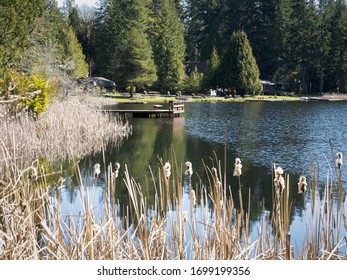 Anderson Lake In Lakeland View Golf Course