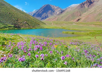Andes Mountains, Argentina, Mendoza