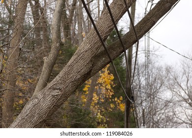 ANDOVER, NJ - OCT 30: A tree laying across three power lines over a road after Hurricane Sandy moved across the northeast in Andover, New Jersey on October 30, 2012.