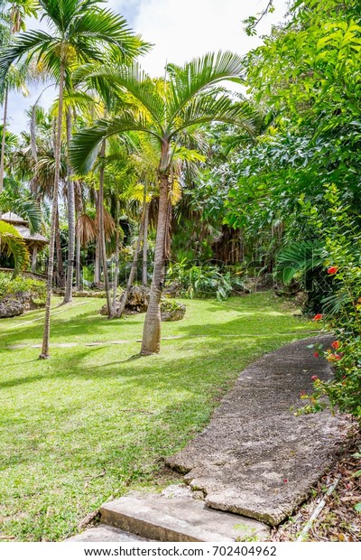 Andromeda Botanic Gardens Barbados Caribbean Stock Photo Edit Now