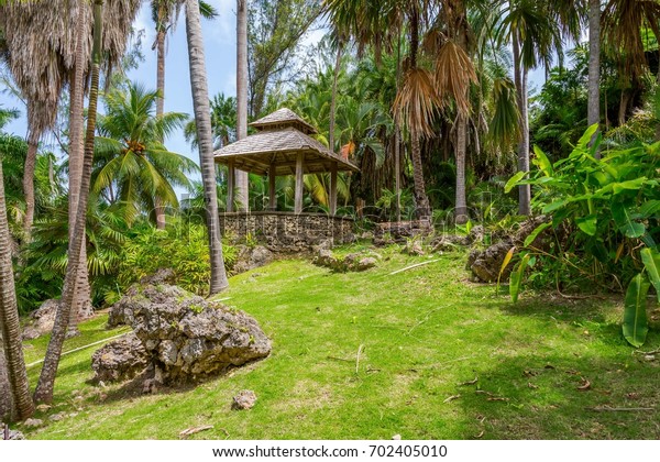 Andromeda Botanic Gardens Barbados Caribbean Stock Photo Edit Now