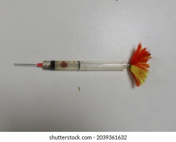 Anesthetic dart for veterinary use isolated in grey background