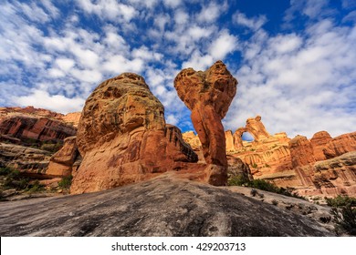 The Angel Arch Span Stretches Over An Opening Of 120 By 135 Feet And Is One Example Of The Fanciful Shaped Rock Sculptures In This Section Of Canyonlands National Park. The Utah Park Hosts A Jumbled