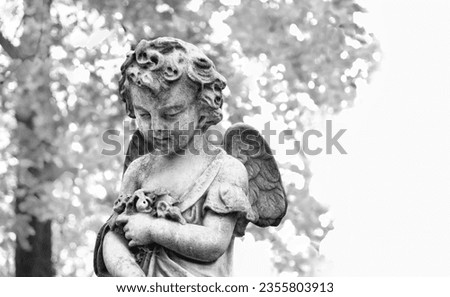Angel baby statue on old cemetery, blurred natural background. Design for condolences, mourning cards or obituary. concept of religion, faith, Remember, mourn, memory. black-white color tone