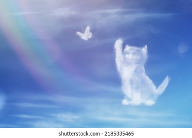 Angel cat walking on the rainbow bridge. Cat clouds shape. Cat catches a butterfly