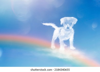 Angel Dog Walking On The Rainbow. Dog Cloud Shape.