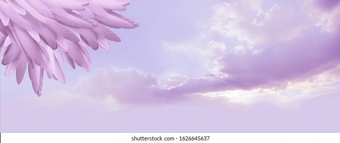 Angel feather message background banner - a pile of random long lilac feathers in left corner against a lilac blue romantic sky background with copy space

