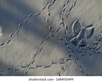 Angel And Footprints On Snow Picture - Birdseye, Aerial Drone Photo