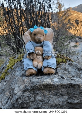 An angel and her teddybear seated on a rock in the woods. 