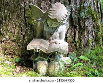 Angel Statue Reading In The Garden Images Stock Photos Vectors Shutterstock