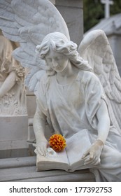 Angel Statue With One Flower