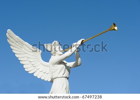 Angel trumpeter isolated against clear blue sky