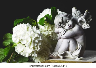 71,497 Sympathy Images, Stock Photos & Vectors | Shutterstock