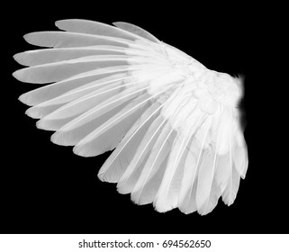 Angel wings