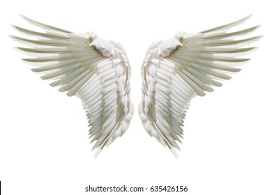 Angel Wings Internal White Wing Plumage Stock Photo 635426156 ...