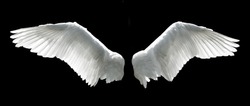 Angel Wings Isolated On The Black Background.