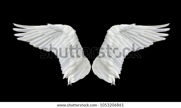 Angel Wings Isolated On Gray Background Stock Photo (Edit Now) 1053206861