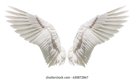 Крылья ангела изолированы на белом фоне с отсекающей частью