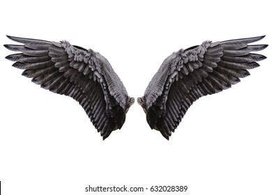 Angel wings isolated on white background with clipping part - Shutterstock ID 632028389