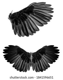 Angel wings isolated on whitebackground