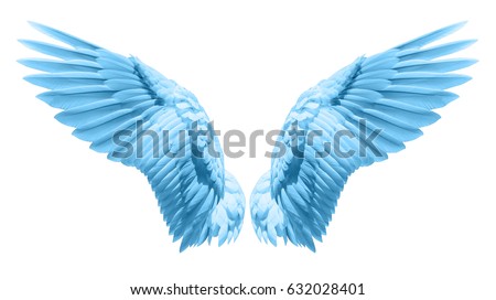 Angel wings, Natural blue wing plumage with clipping part