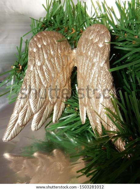 angel wing tree