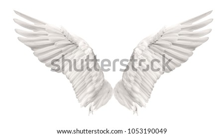 Angel wings swan are flying isolated on white background. This has clipping path. 