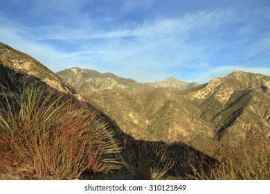 Angeles National Forest