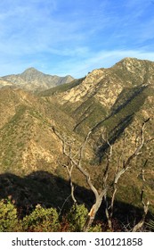 Angeles National Forest