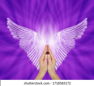 Angelic Therapist seeking Angel Guidance - Female hands in prayer position with a pair of pale lilac  Angel wings against a purple voilet energy formation background and copy space
