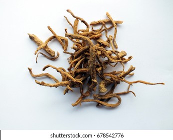 Angelica root is an ingredient mixed in Thai herb medicine.