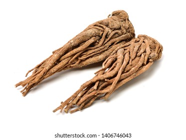 Angelica root used in chinese traditional herbal medicine, over white background. Radix angelicae sinensis, 