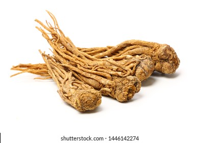 what is chinese angelica root used for