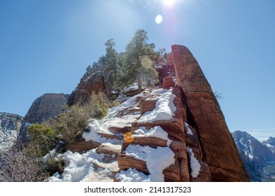 Angel's Landing Hike In Zion