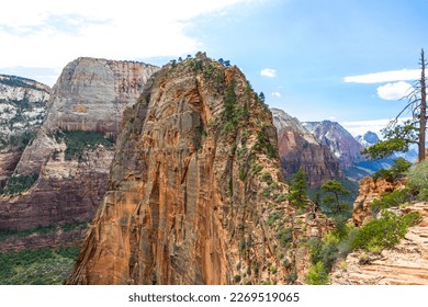 angels landing trail in zion park and Scout Lookout