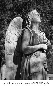 Angels In Sleepy Hollow Cemetery