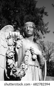 Angels In Sleepy Hollow Cemetery