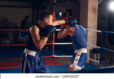 25,458 Sparring Stock Photos, Images & Photography | Shutterstock