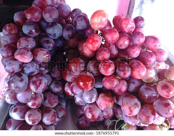 Anggur merah buah gambar 15+ Gambar