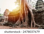 Angkor Thom, ancient temple ruins in Cambodia jungle with trees growing
