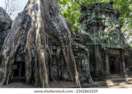 Angkor Vat Temple in Siem Reap, Cambodia