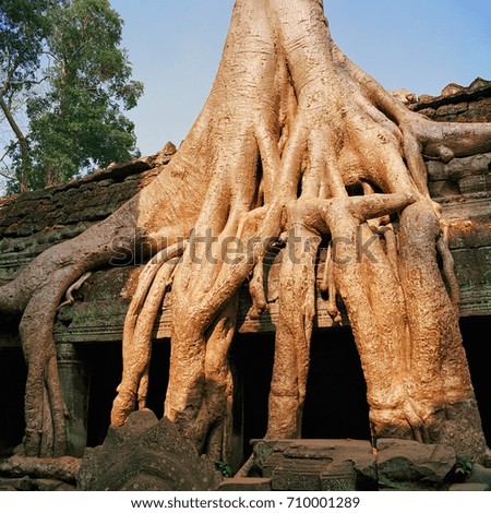 angkor wat