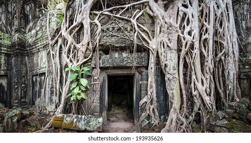 Jungle Temple High Res Stock Images Shutterstock