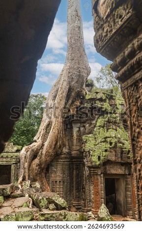 Angkor Wat temple complex, Seam Reap, Cambodia.